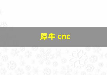 犀牛 cnc